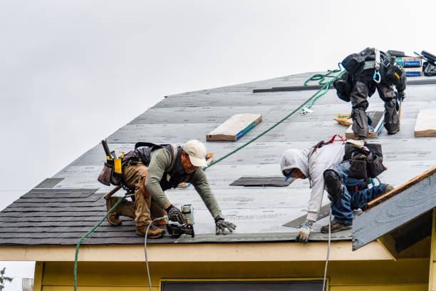 Professional Roof Replacement technician working in Cornish, ME